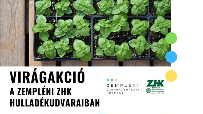 viragakcio